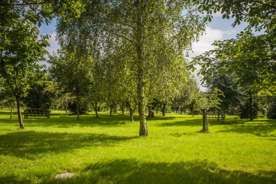 Bristol memorial Woodlands in the sunshine